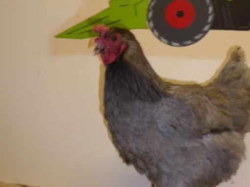 Unser Sortiment - Heck Grobenhof